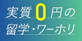 夢カナ