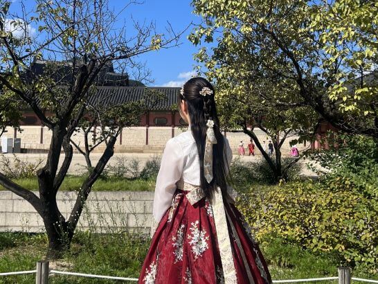 東京成徳大学の留学の様子（韓国）
