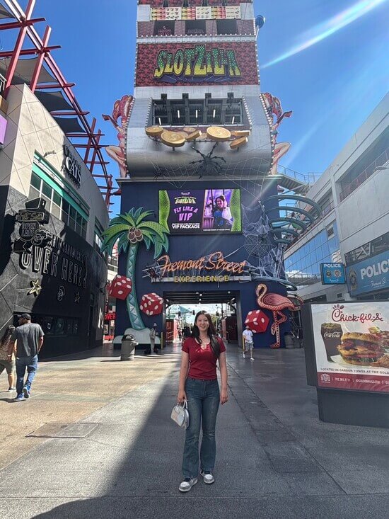 青森中央学院大学の留学先の写真