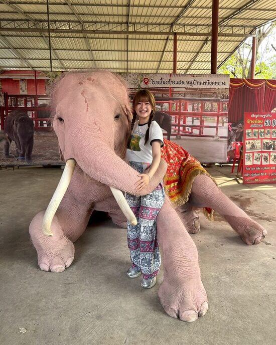 共愛学園前橋国際大学のタイの異文化研修