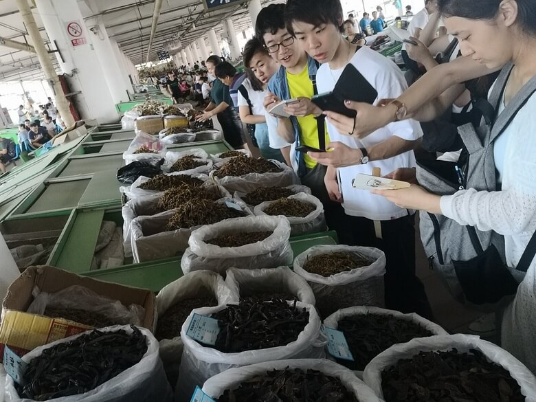 北陸大学の中国研修