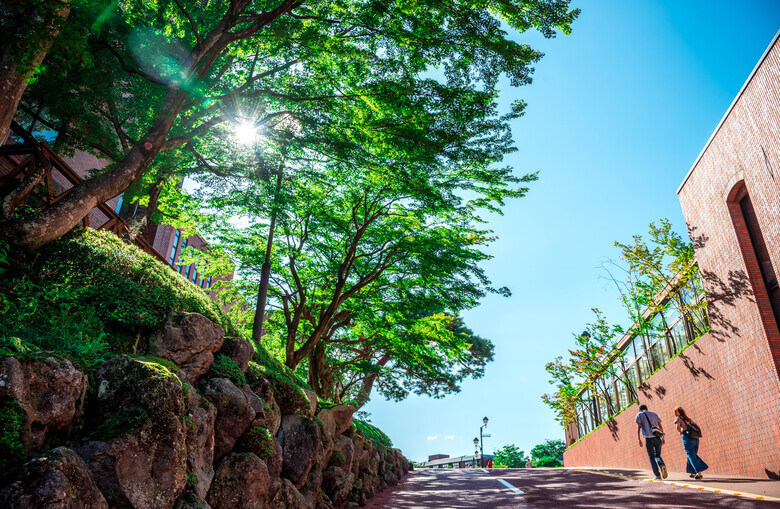 東北福祉大学の外観