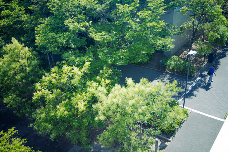 流通科学大学のキャンパス風景_2