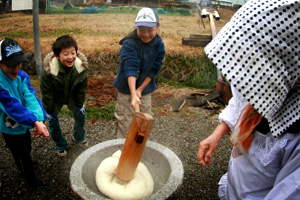 miyama mochitsuki