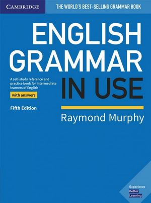 English Gramer in Use Murphy Raymond